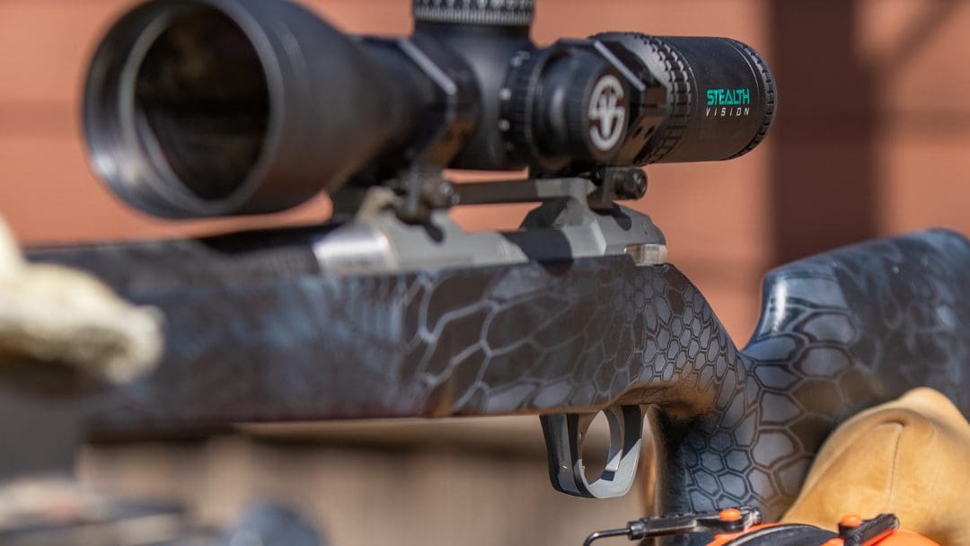 Top 5 Best LongRange Cartridges Stealth Vision®